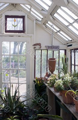 Herb green house