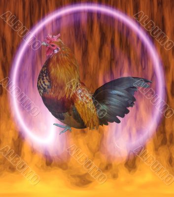  The cock