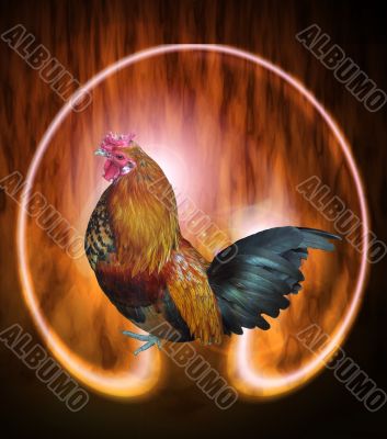 The cock