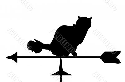 Silhouette of a cat