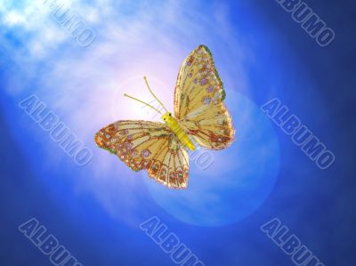butterfly