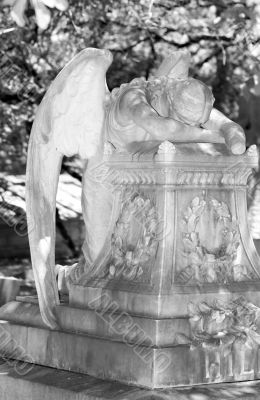 angel in morning