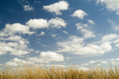What a Sky!