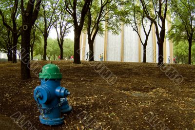 Waterfall & Fire Hydrant