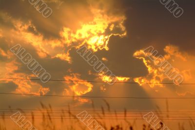 orange sky