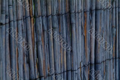 bamboo fence