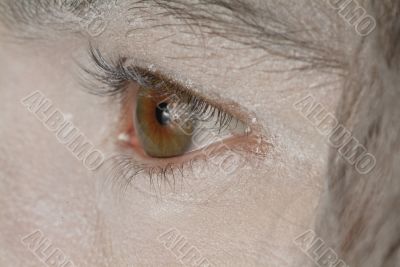 eye