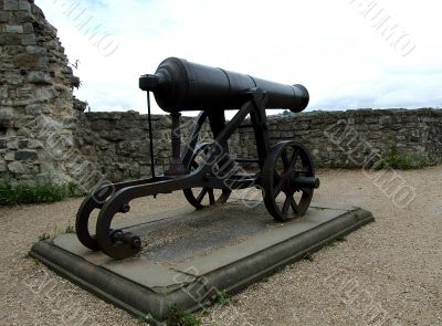 Cannon