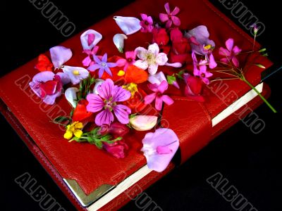 Flowers on Bible