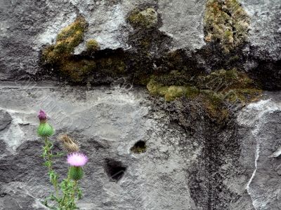 natural grunge 2