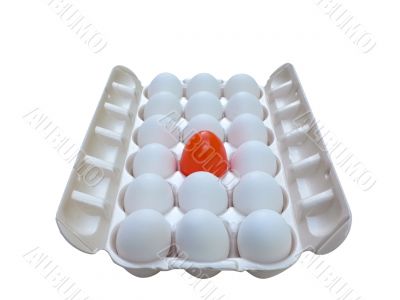 stand out - eggstraordinary egg 2
