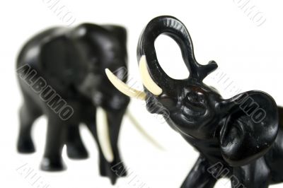 Black Elephants 2