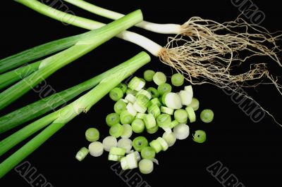Fresh Shallots