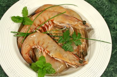 Fresh Shrimps
