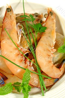 Fresh Shrimps 2