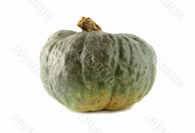 Pumpkin 1