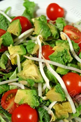 Avocado And Bean Sprout Salad