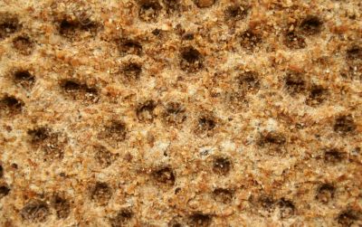 Cracker Background 1
