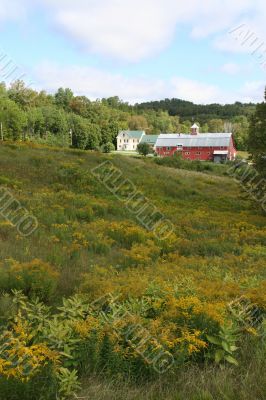 Barn, medium distance