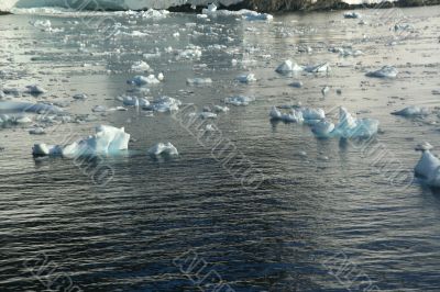 Icebergs and brash ice in calm seas