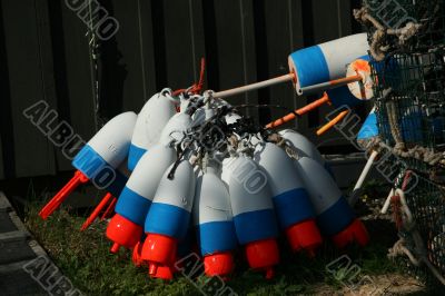 Lobster floats, blue, white, neon