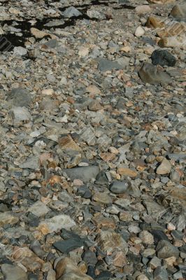 Granite pebbles, rounded by the ocean