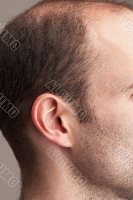 ear
