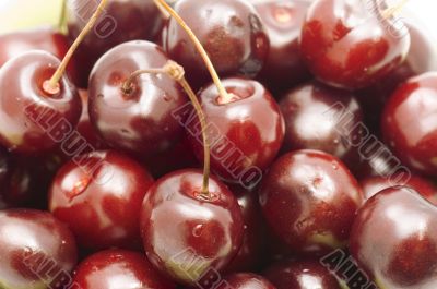 red cherry
