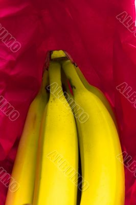 Red Banana Basket