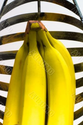 Banana Basket Close Up