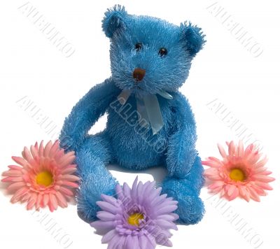 Blue Teddy Bear