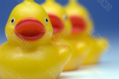 Plastic bath ducks