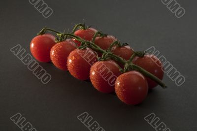 Tomatoes on the stem