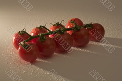Tomatoes on the stem