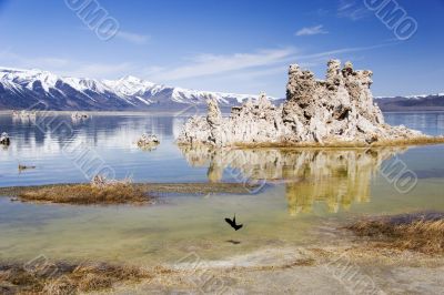 Tufa`s in Mono Lake, California