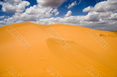 Coral pink sand dunes