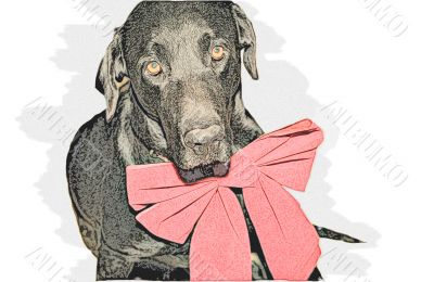 Sketch of Santa Christmas dog