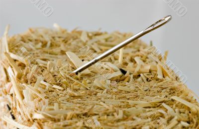 Needle in a haystack