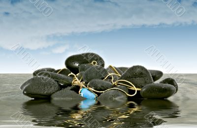 Unexpected Treasure
