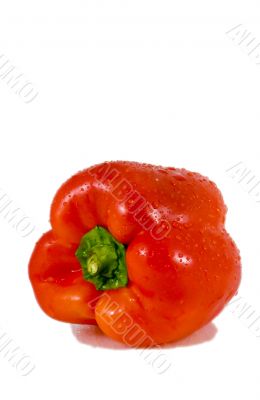 Sweet peppers (series 5)