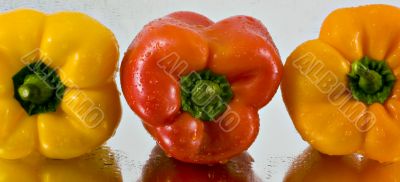 Sweet peppers (series 1)