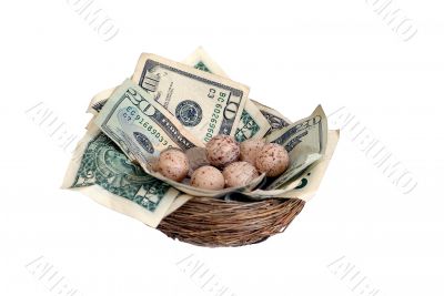 Nest egg