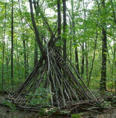 Tree Branch Teepee