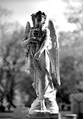 Cemetery angel