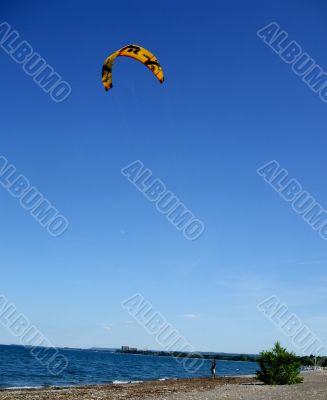 Male Kite Surfer on the Beach