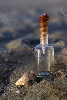 Shells and a bottle