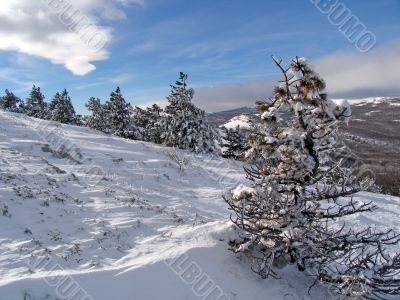 in mountains