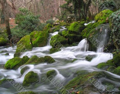The mountain rive