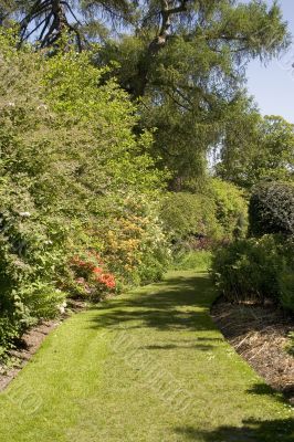 Garden Path 1