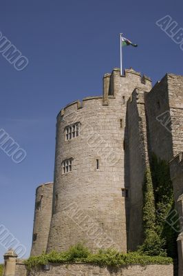 Castle turret